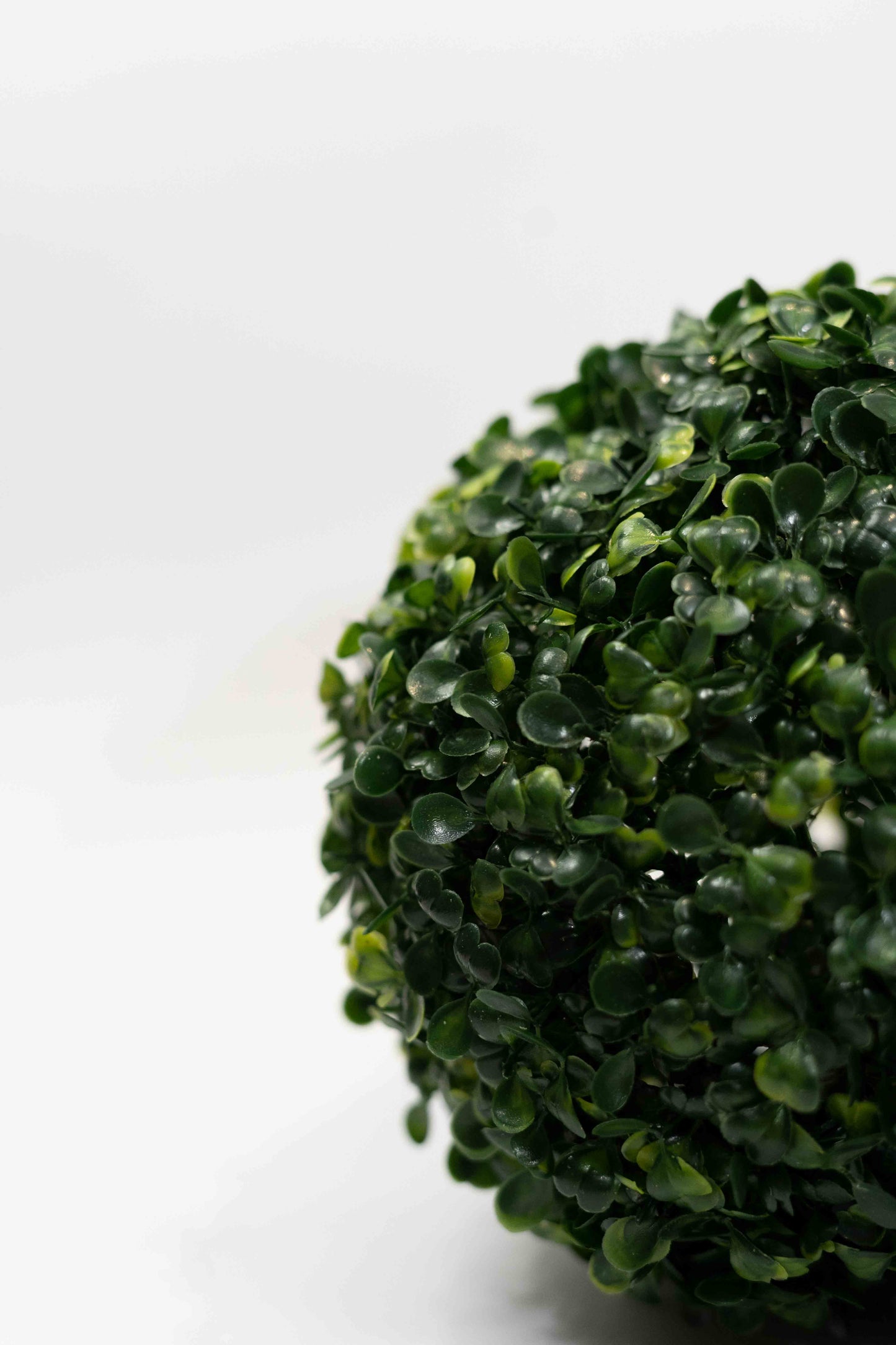 Bola enredadera de follaje