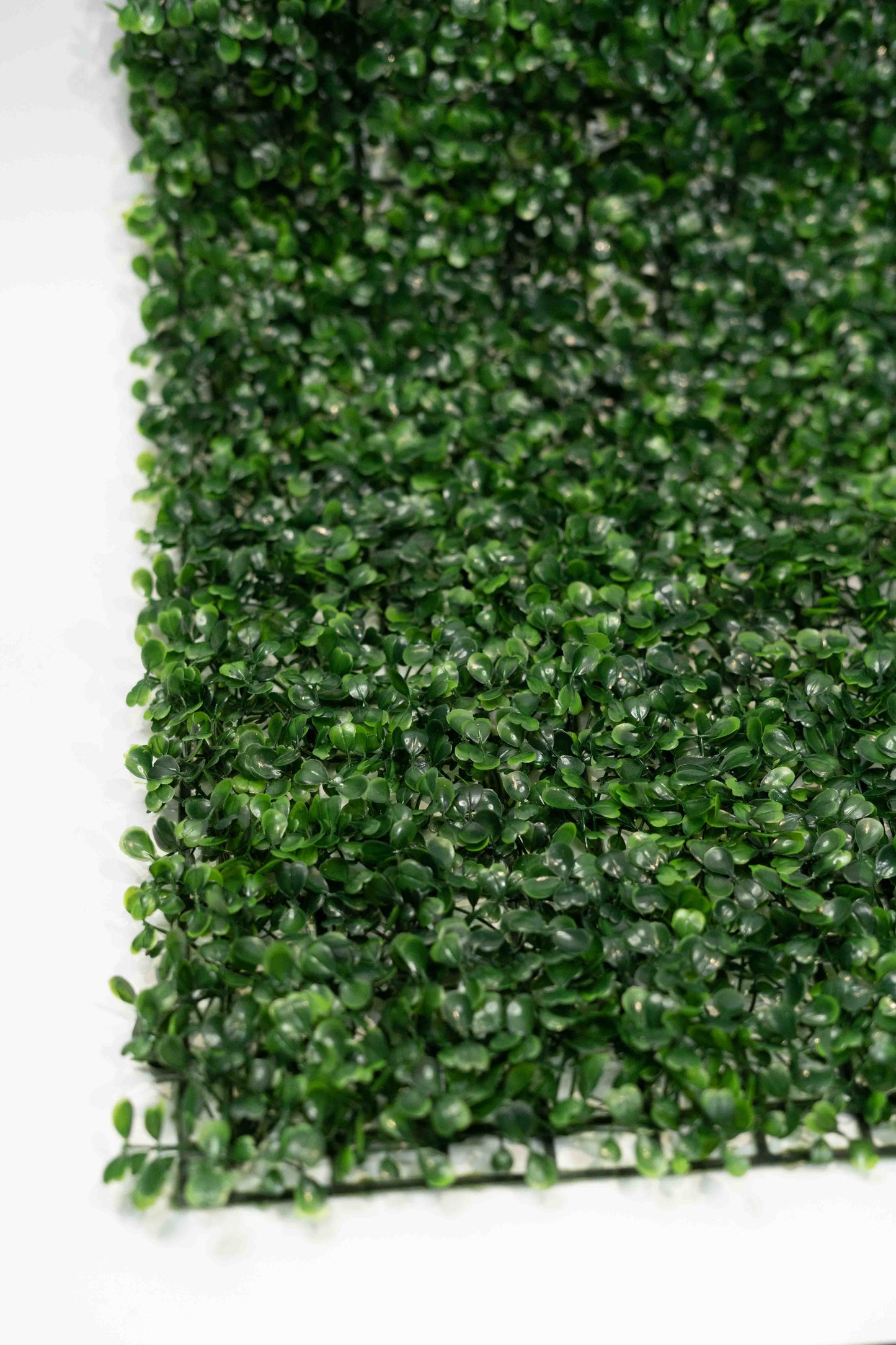 Panel de follaje vertical